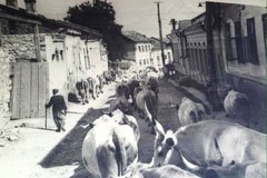 Strada armenească
