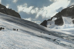 Snow Pass ქარავანი ცხოველები სვანეთში