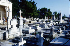 Cavtat groblje