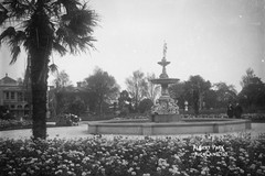 View of the fountain in Albert Park