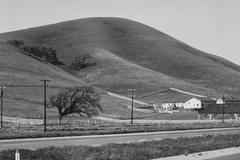 In the vicinity of Gilroy on US Route 101