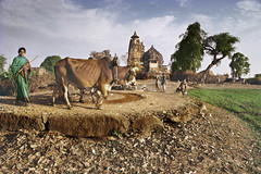 Village life near Vamana Temple