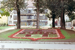 Székesfehérvár, Országzászló tér, Virágágyás Székesfehérvár város címere