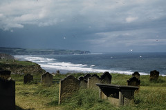 Whitby. Cemetery of St. Mary Abbey