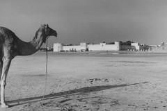 The old police fort, Manama / قلعة الشرطة في المنامة ( قلعة وزارة الداخلية حالياً) في شهر مايو 1945م
