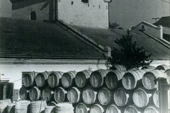 Depozitarea materialelor vitivinicole pentru producerea vermutului