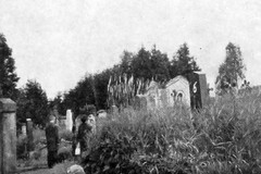 Železná Ruda. Zarostlý hřbitov s hrobkou (v pozadí)