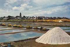Batz-sur-Mer - La récolte du sel