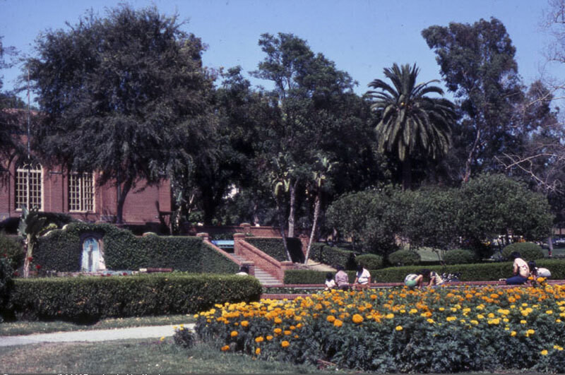 Lafayette Park and library pond