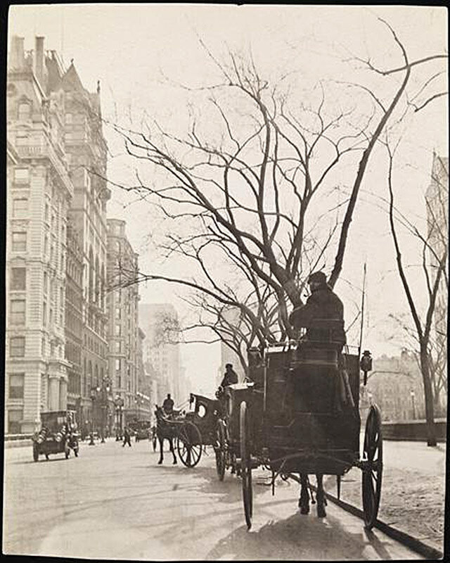 Hansom cabs on 5th Avenue