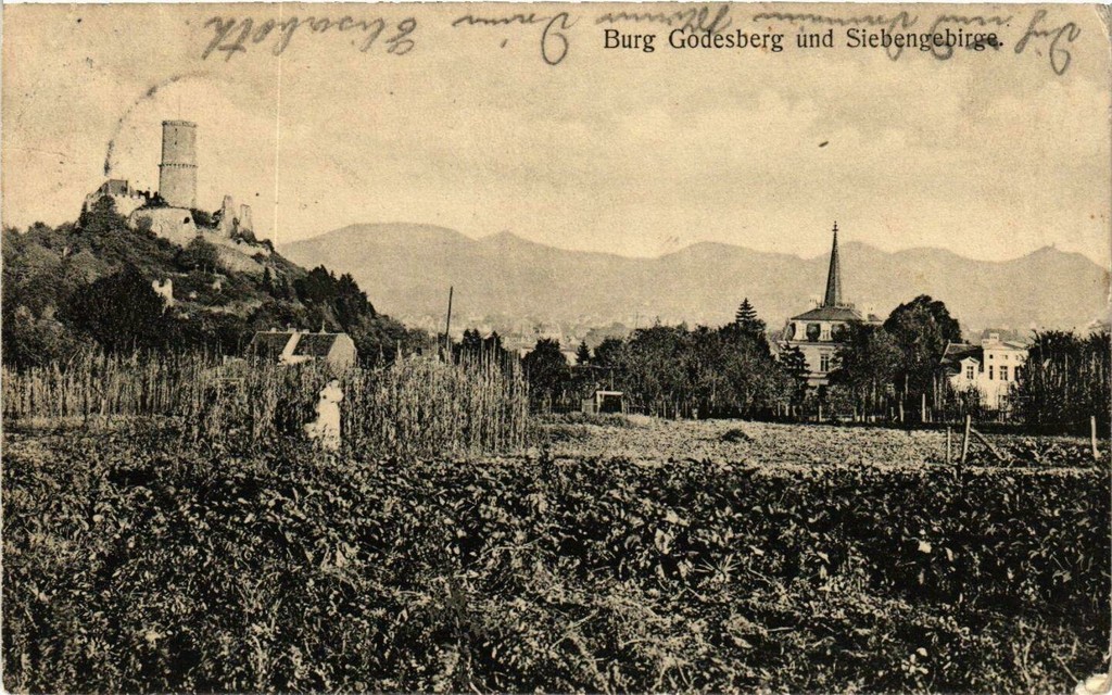 Burg Godesberg und Siebengebirge