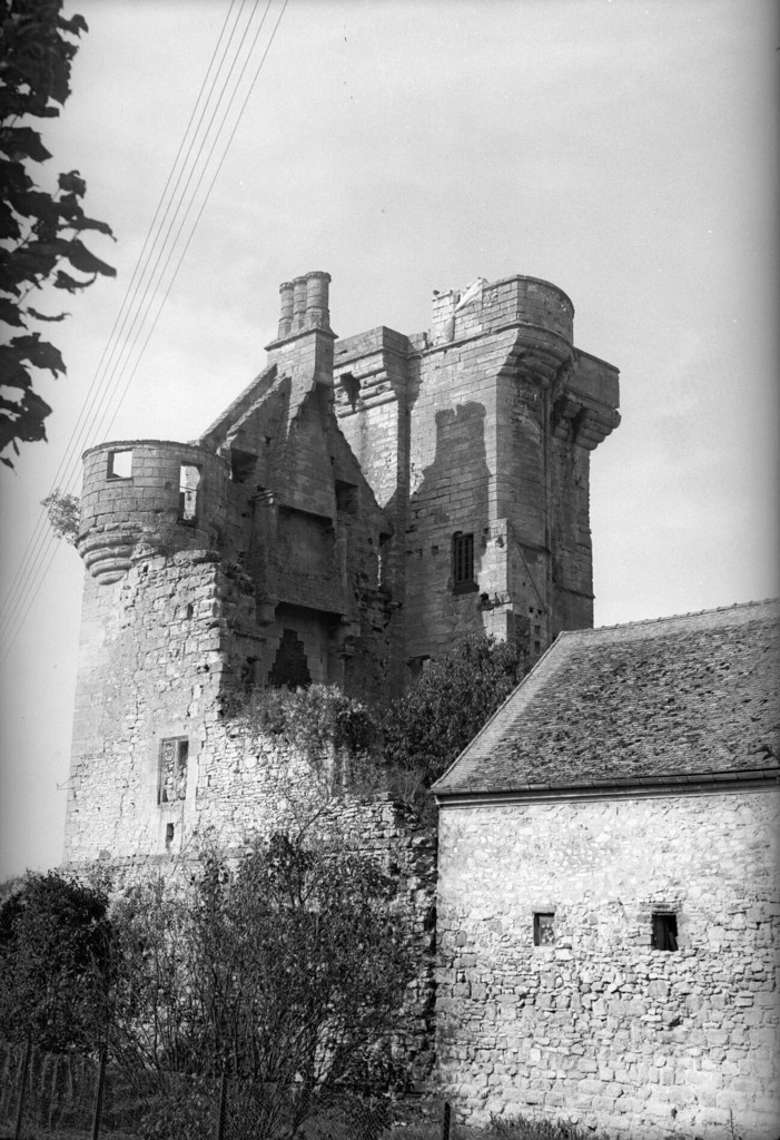 Crouy-sur-Ourcq. Château du Houssoy. Donjon et ancien logis au sud-est