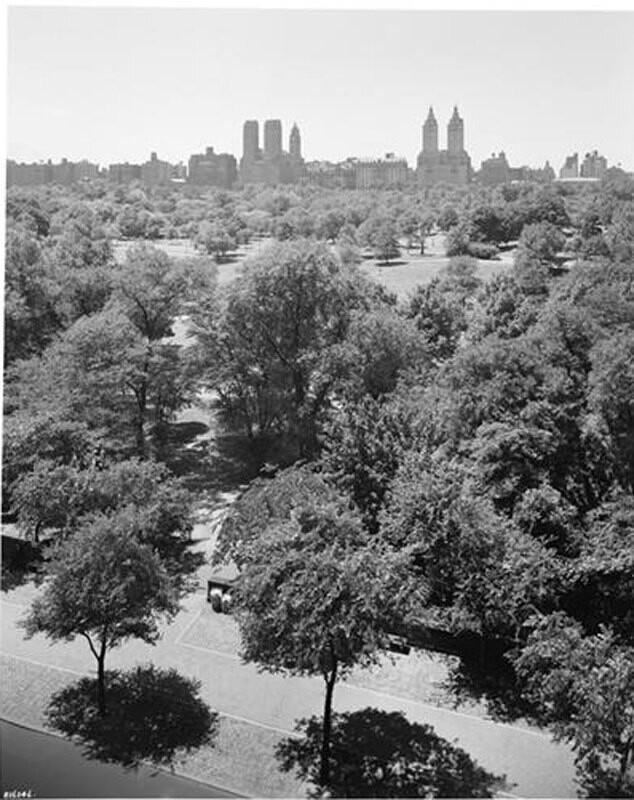 953 5th Avenue. View looking west across Central Park.
