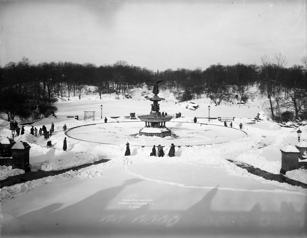 Central Park Snow Scene