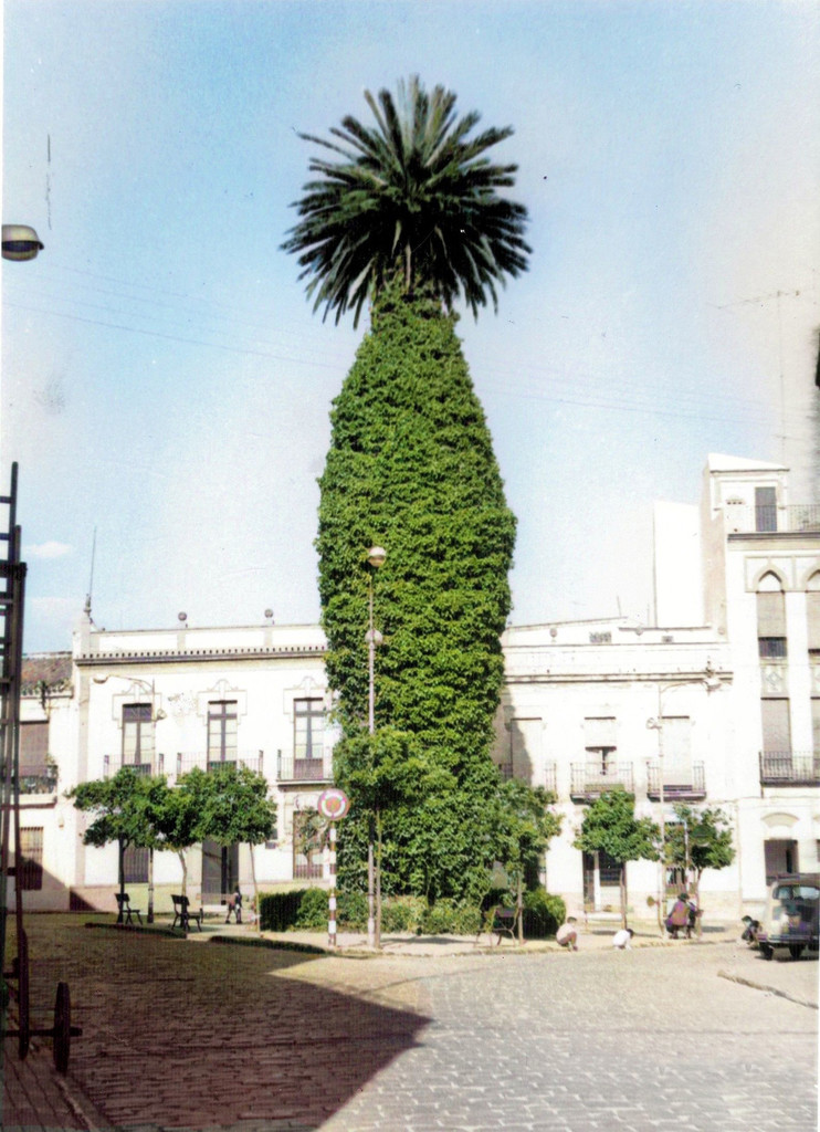Plaza del Bacalao