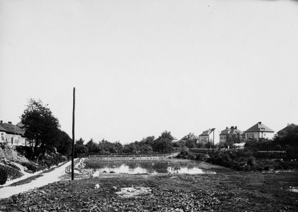 Pohled na rybník při ulici Na Pěšinách