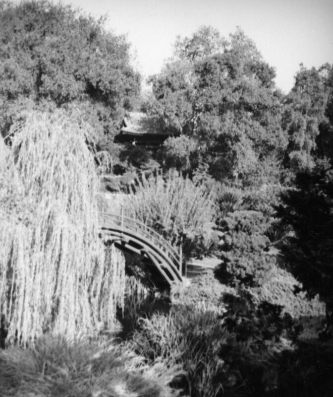 Huntington Japanese garden