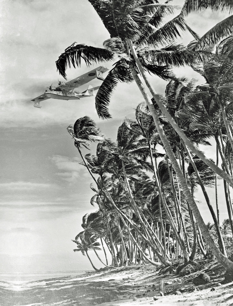 Fiji. Nadi. Catalina over palm trees