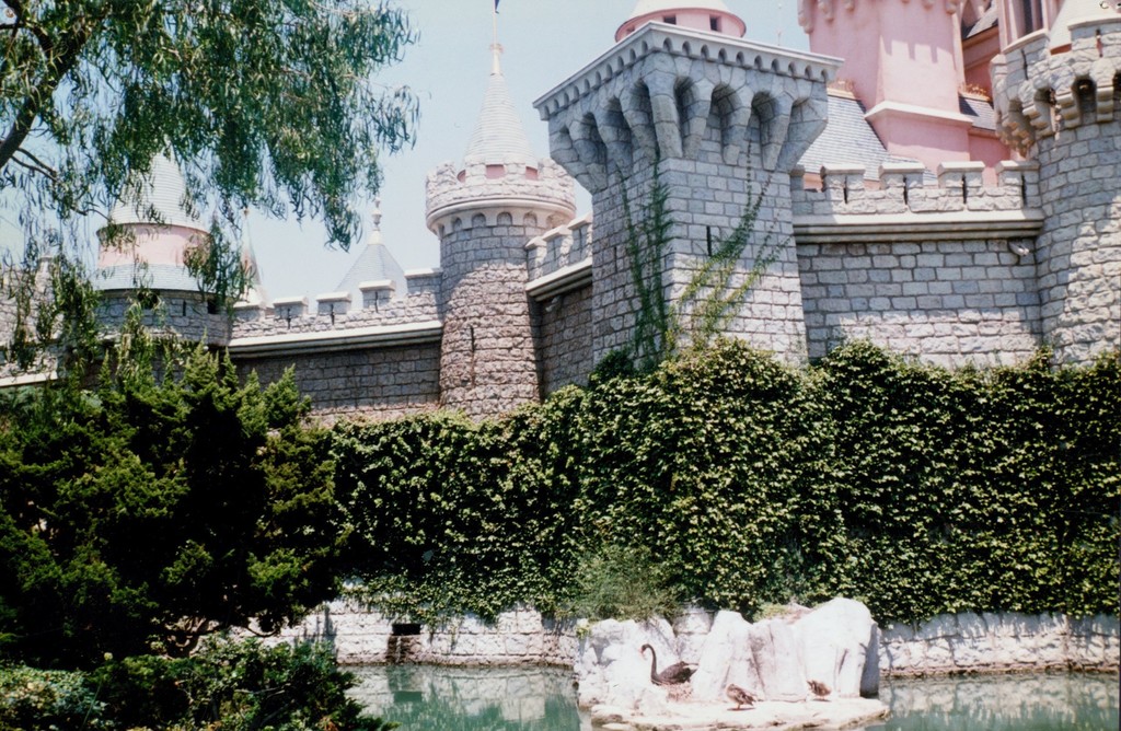Sleeping Beauty's Castle- Walls and Moat