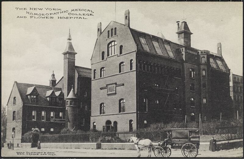 The New York Homeopathic Medical College, and Flower Hospital.
