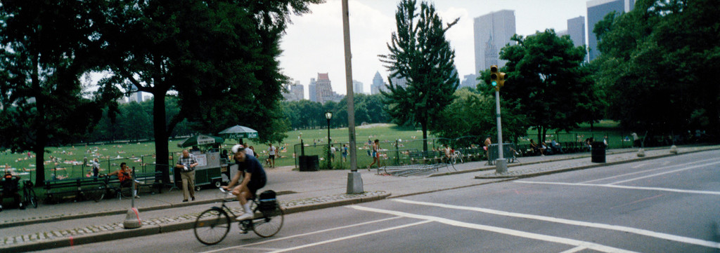Central Park Sheep Meadow from West Drive