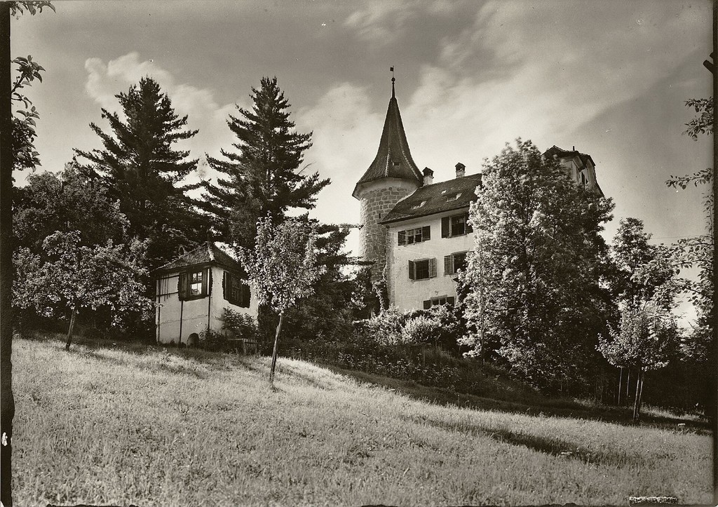 Schloss Schauensee
