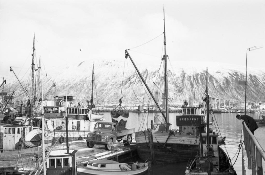 Torghuken i Tromsø