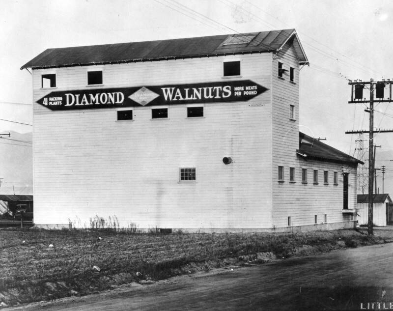 Diamond Walnut Packing House