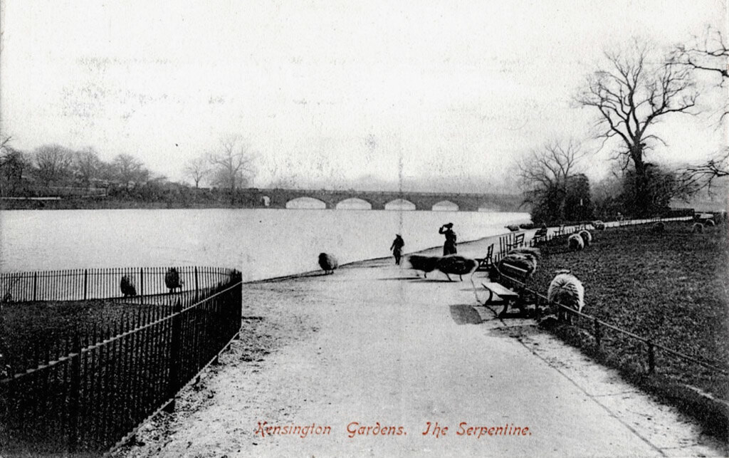Kensington Gardens. The Serpentine with brigdge