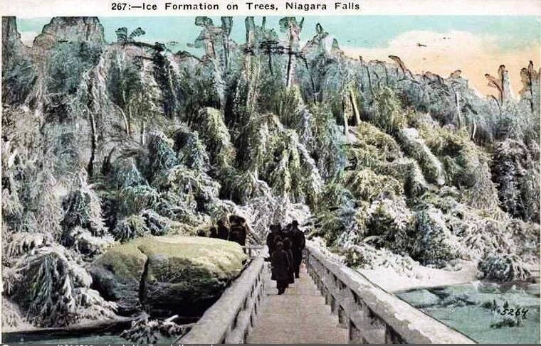 Ice Formation on Trees, Niagara Falls