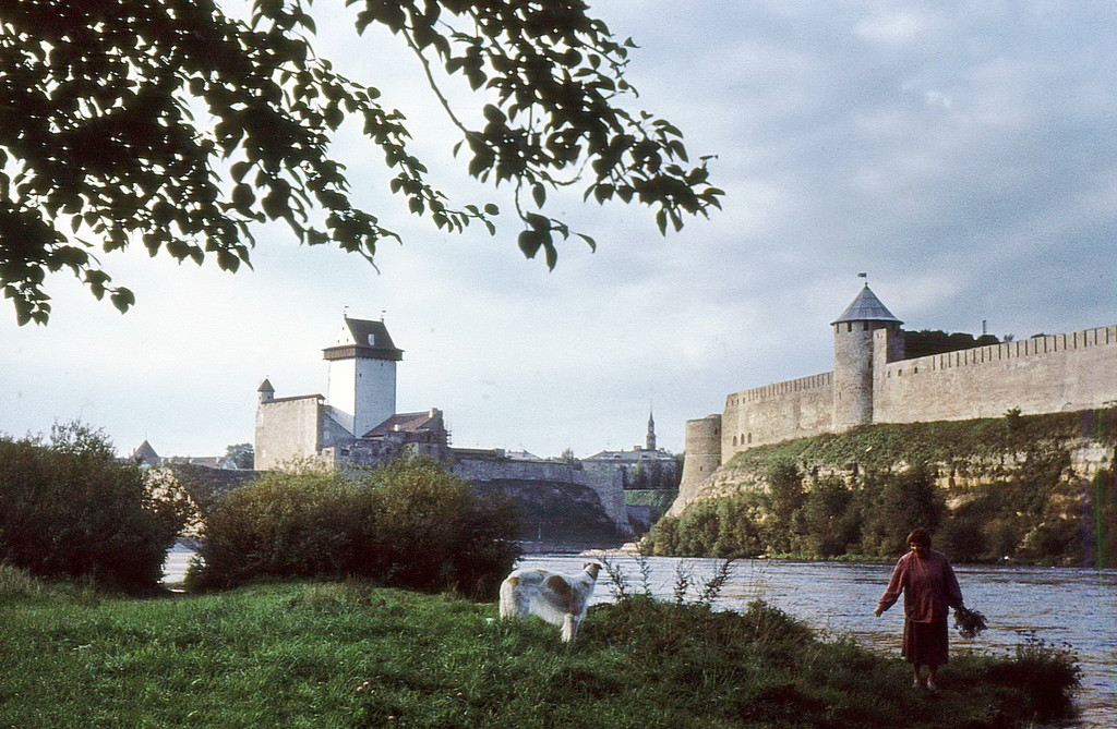 Нарвский замок и Ивангородская крепость