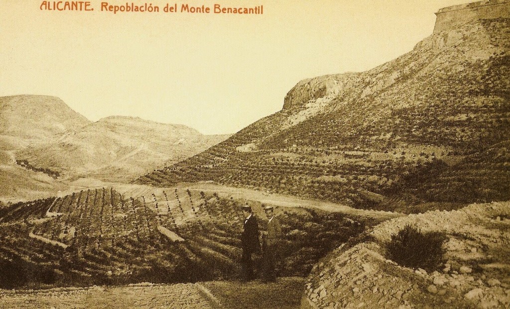 Repoblación del monte Benacantil