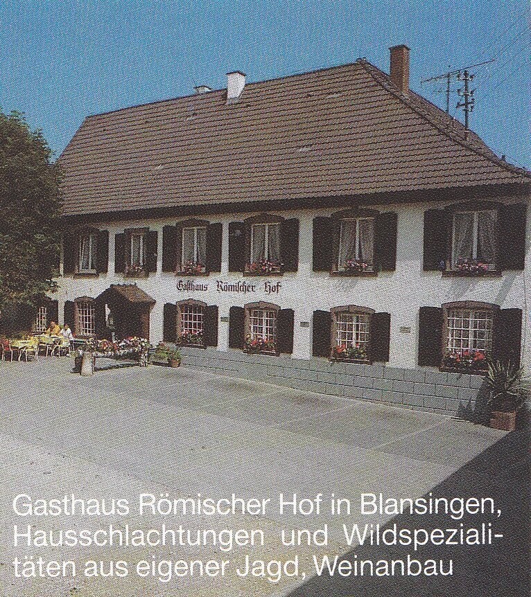 Gasthaus. Römischer Hof