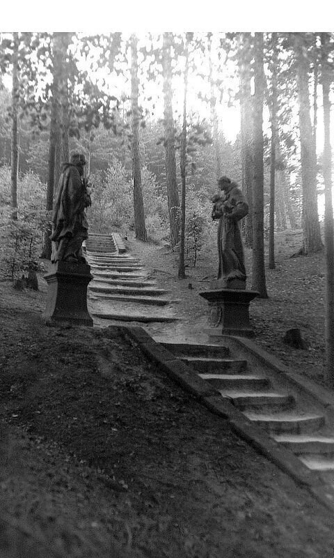 Česká Kamenice, schodiště k areálu s původními sochami