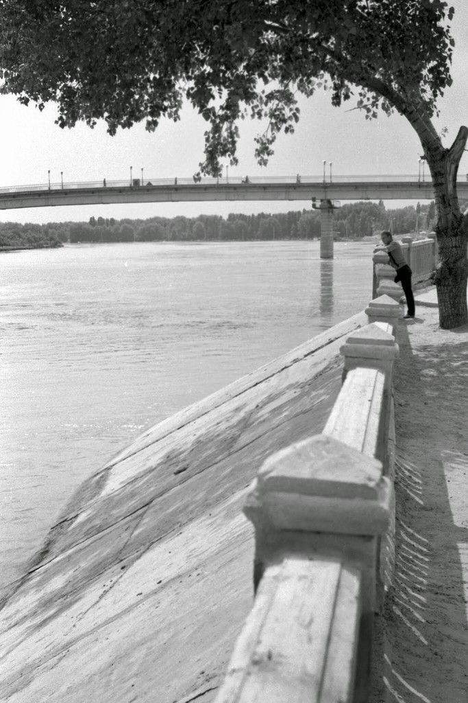 View of the bridge from the city's waterfront