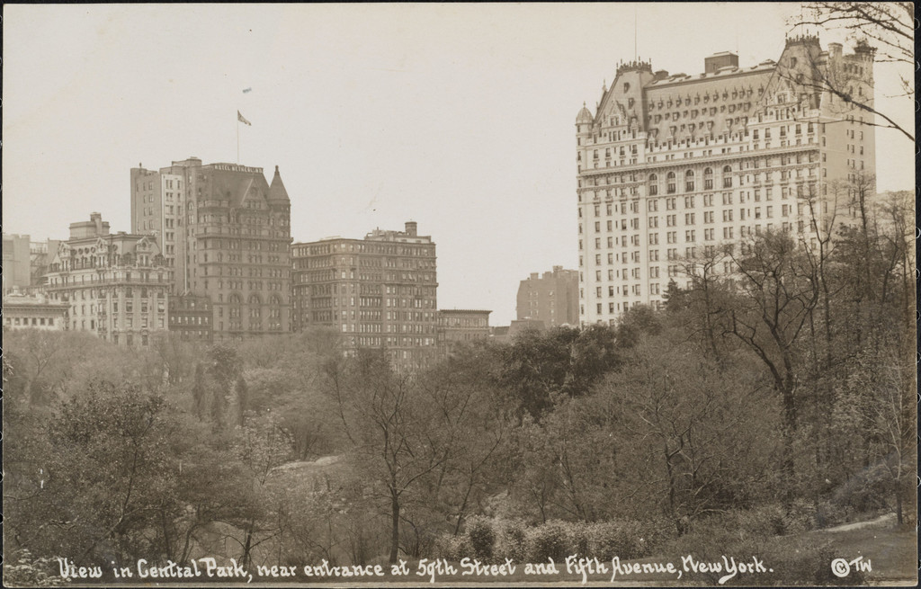 View of Central Park, near entrance of 59th Street and Fifth Avenue