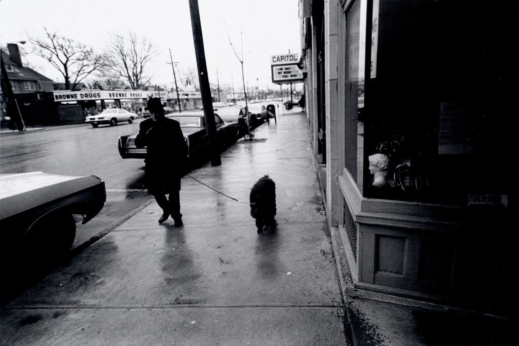 Man walking poodle on Massachusetts Avenue, East Arlington