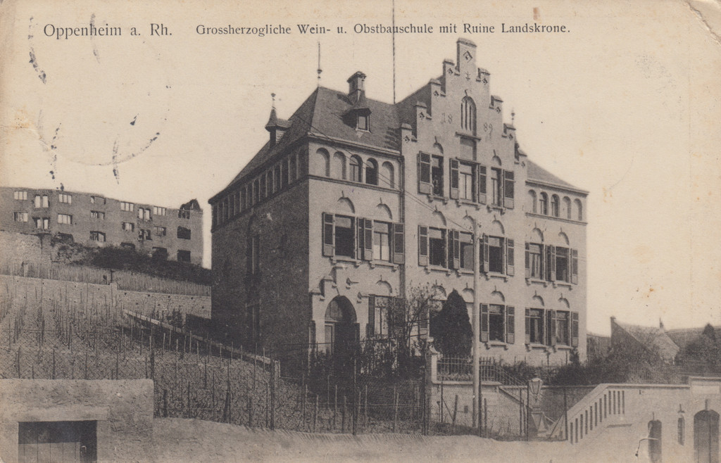 Wein- und Obstbauschule, Oppenheim