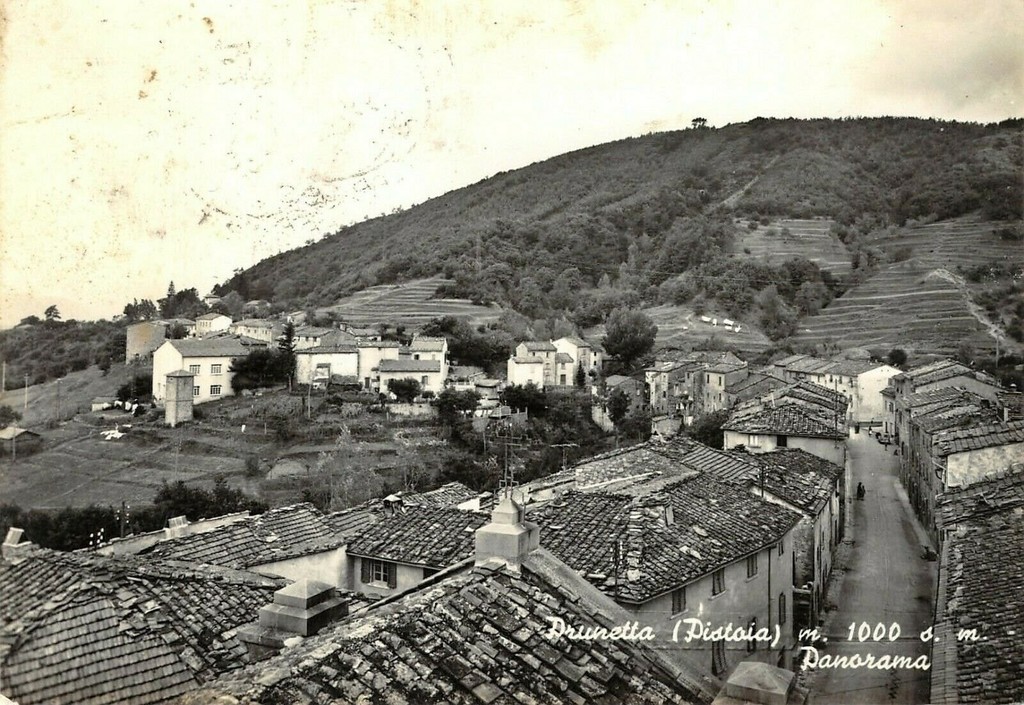 Prunetta Panorama