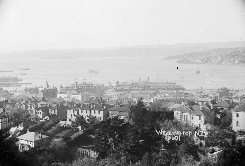 View of Wellington taken from Kelburn looking east