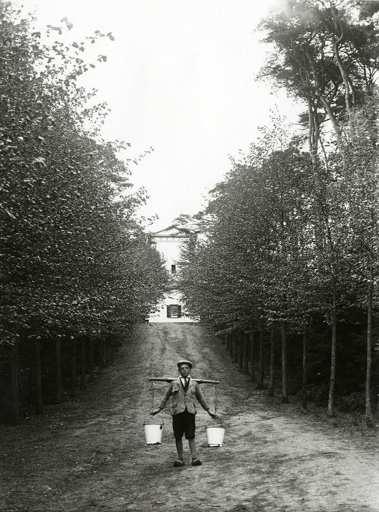 Еen laan met loofbomen naar de graftombe van de familie Van Nellesteyn te Leersum