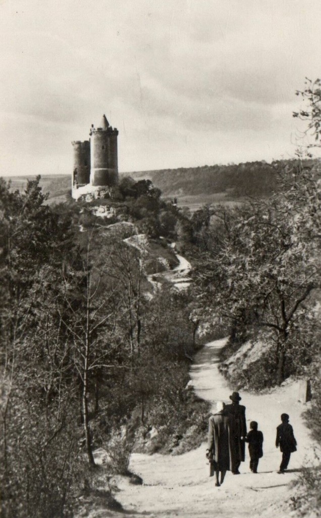Bad Kösen. Burg Saaleck