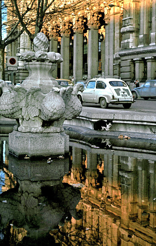 Una de las fuentes del Paseo del Prado con gato y edificio de Correos