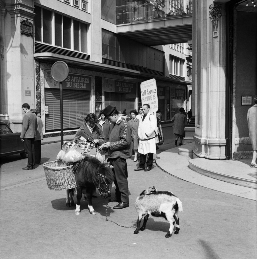 Vendeur de rue avec le poney et la chèvre