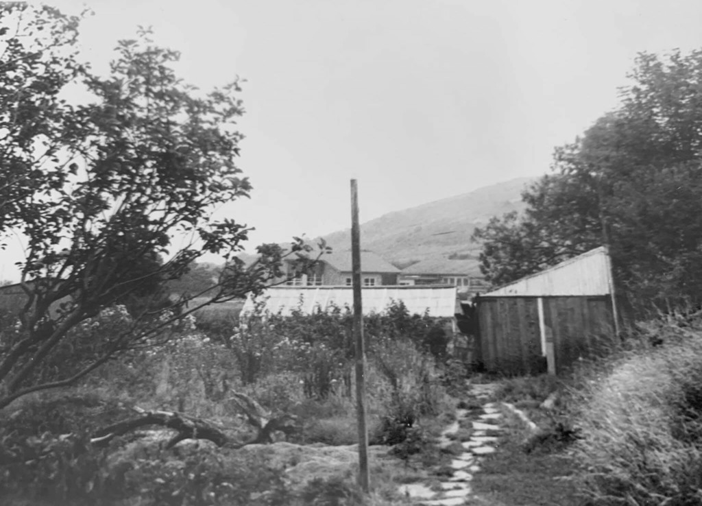 Stone Path in the Garden of Glasfryn in Penparcau