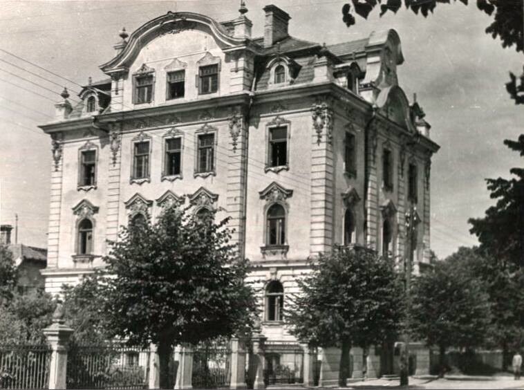 Vileišis Palace