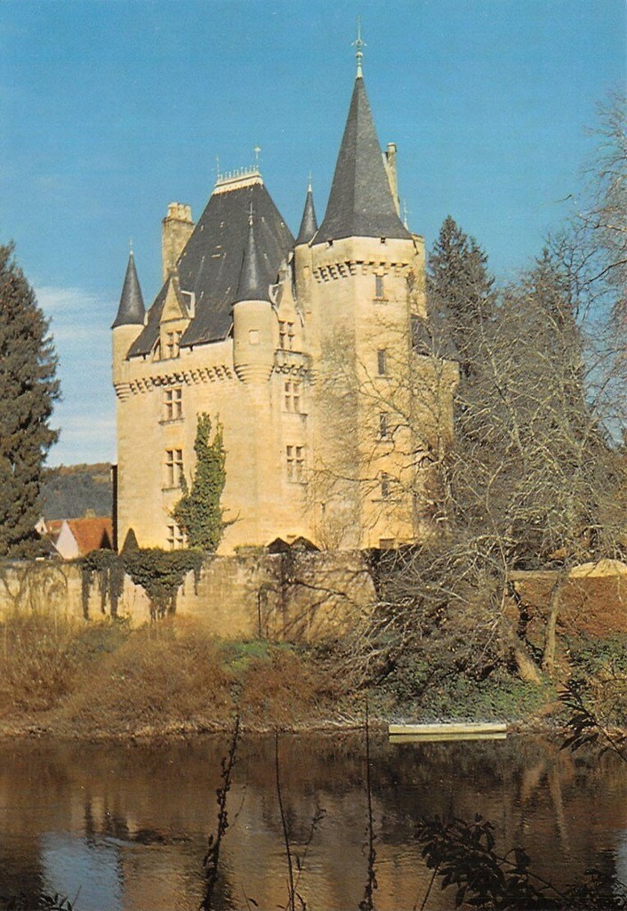 Saint-Léon-sur-Vézère. Château de Clérans
