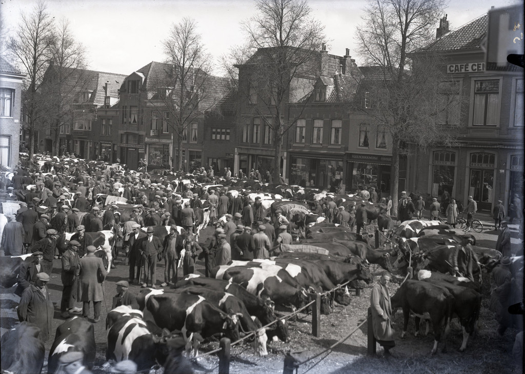 Veemarkt (koeien) op het Hofplein en de Gedempte Nieuwesloot