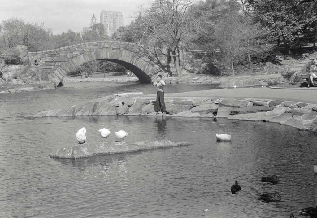Pond at Central Park