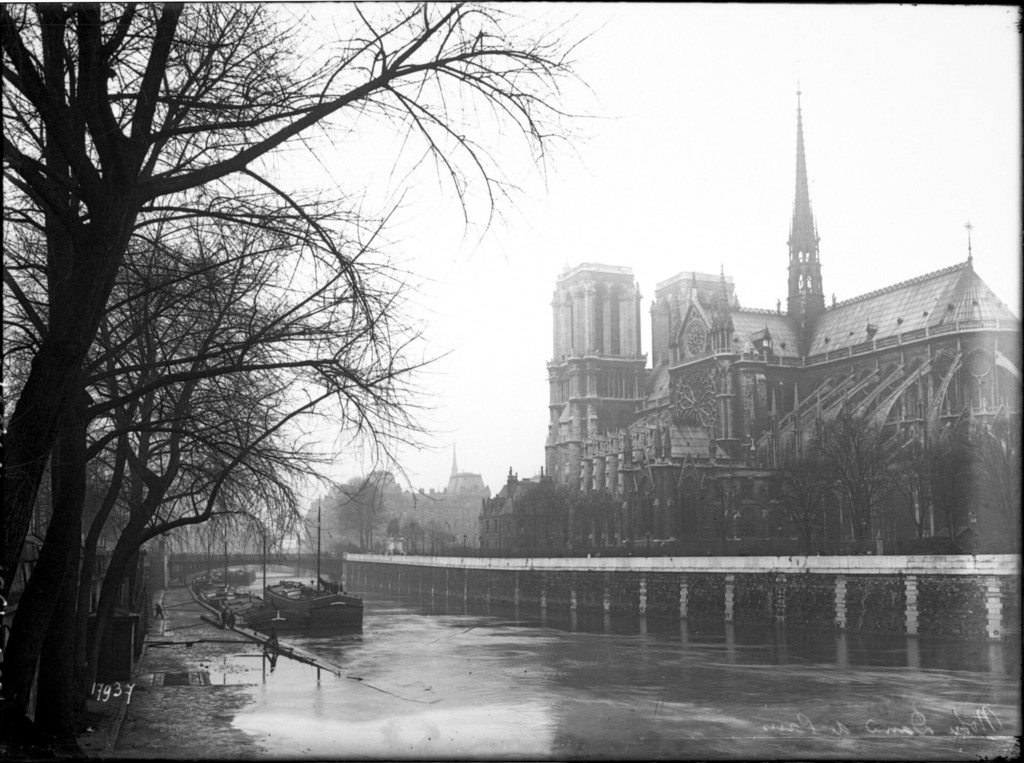 Notre-Dame de Paris, vue du chevet